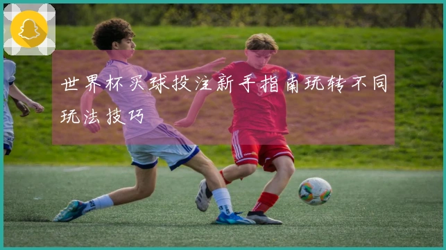世界杯买球投注新手指南玩转不同玩法技巧